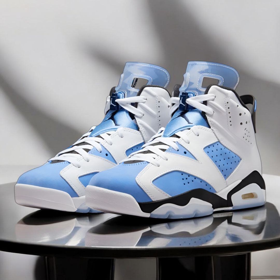 Air Jordan 6 
