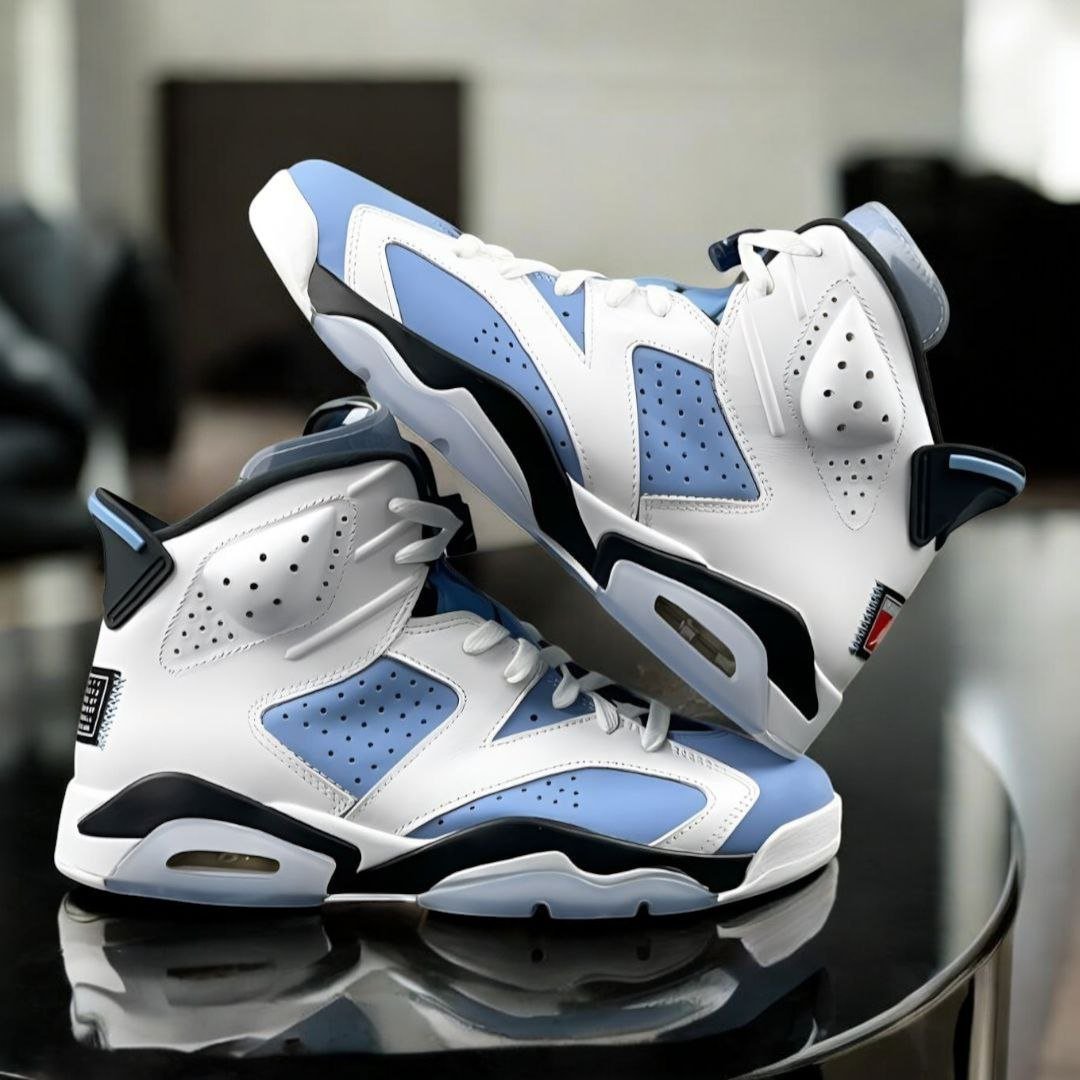 Air Jordan 6 