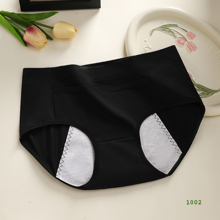 Warm 3 pic Palace Pocket Design Period Care Panty / Underwear