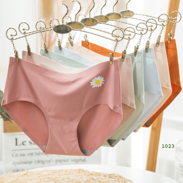 Imported Silk Comfortable Long-Time Usable Panty / Underwear
