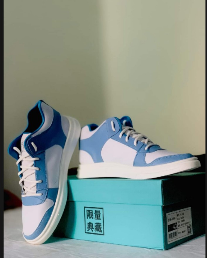 Stylish Men’s Casual Shoes