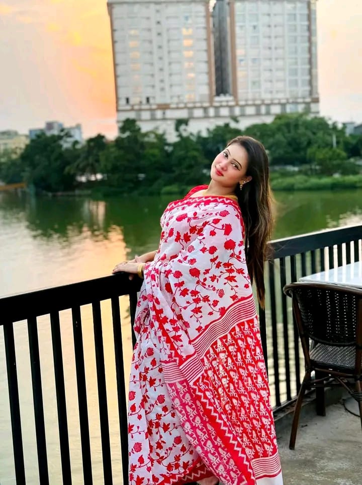 Half silk block print sharee