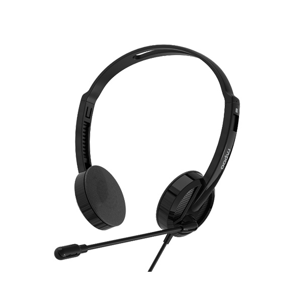 Rapoo H102 Wired Stereo Headphone – Black